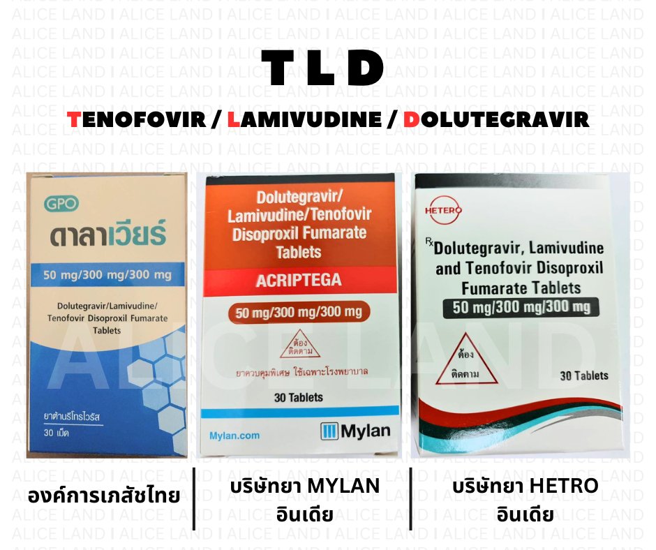 Alice_Land tweet media