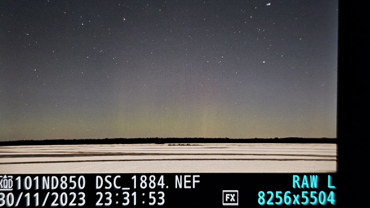 swalchliwx's tweet image. Very VERY faint pillars on camera near Gilman, WI @_SpaceWeather_ @Vincent_Ledvina #aurora