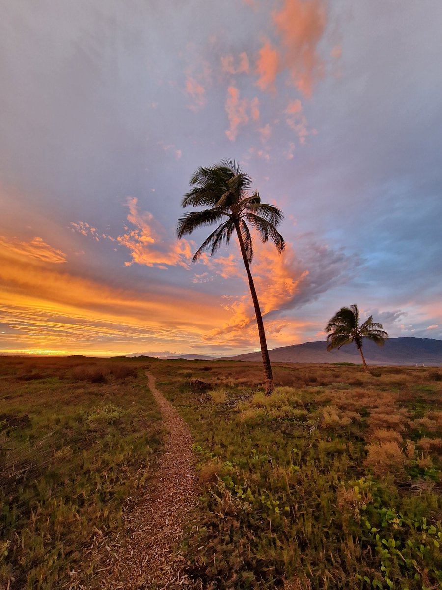 GraemeJHarvey's tweet photo. #Maui #Hawaii https://t.co/re7CgTWGuh