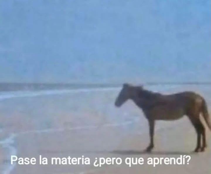Todos en fec