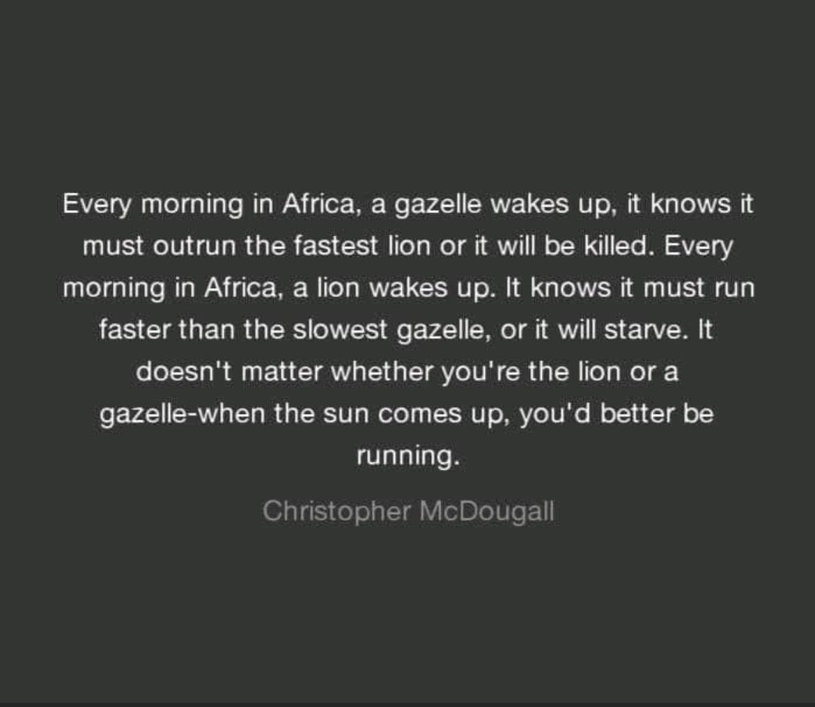 JSΞBOSS (@stelliesmafia) on Twitter photo 