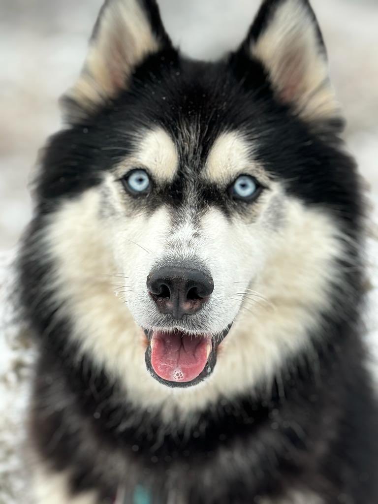 Have a nice day ❄️💙