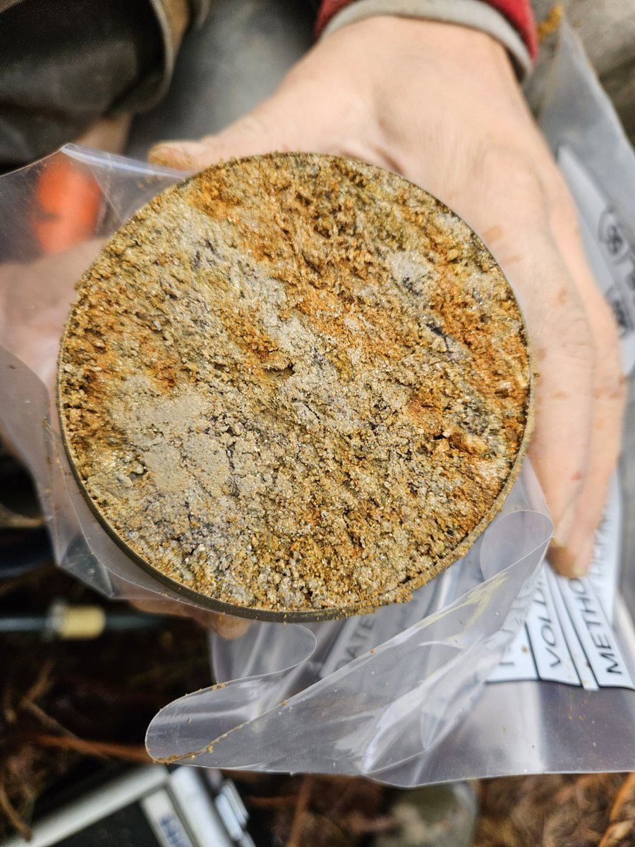 Nicolas Saby tweet media