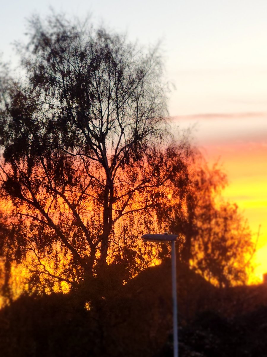 What a beautiful start to the day!
We are seeking a experienced Paralegal to join our well established clients busy Planning team in their #Bristol Office:

To apply:

browns-recruitment-group.com/job/planning-p…

#paralegal #legalcareers #legalcareer #recruitment #fridayfeeling #friday