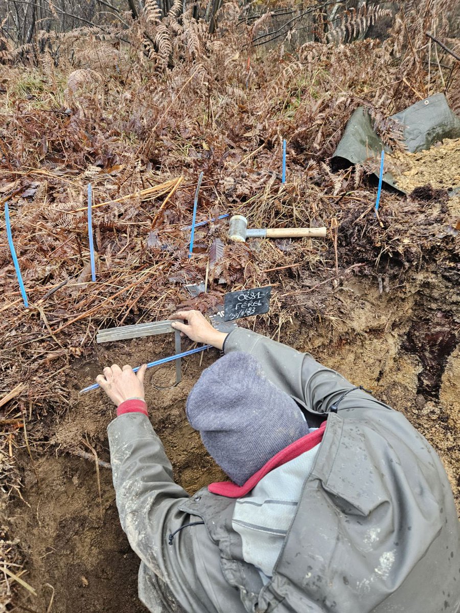 Nicolas Saby tweet media