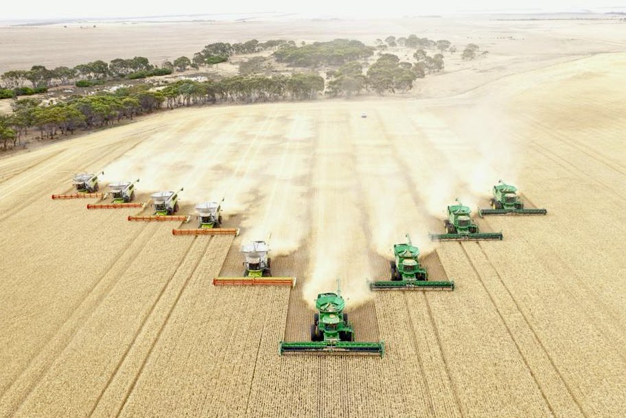 James Burman tweet media