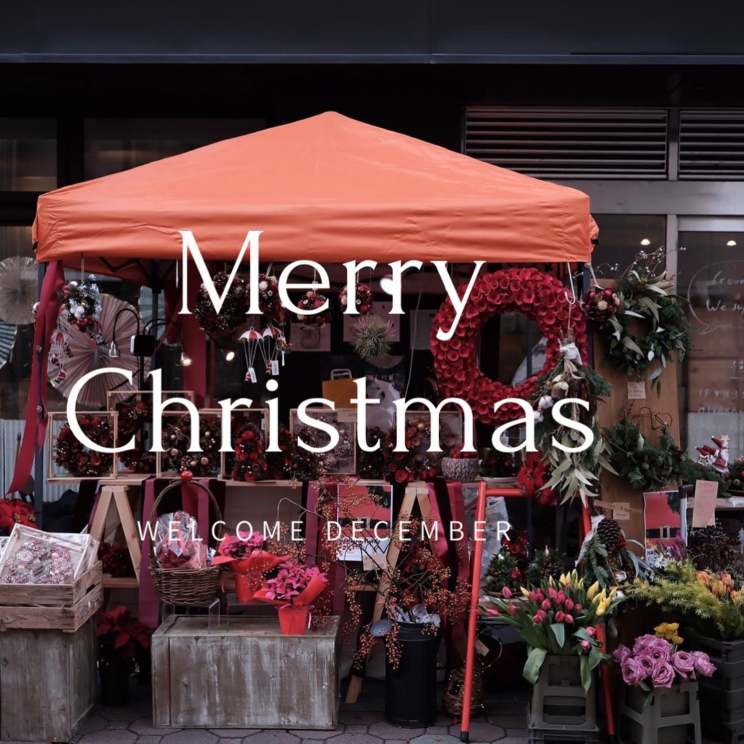 hakoneflorist's tweet photo. 12��が始まりましたね。今年もあと1ヶ月。

今月はクリスマスがありますのでリースや赤いオーナメントや針葉樹のスワッグ等を飾ってみるなどして、楽しみましょう。

気分を高めていきましょう♡
https://t.co/VlseVwUtHr https://t.co/7DtYtYcg0C