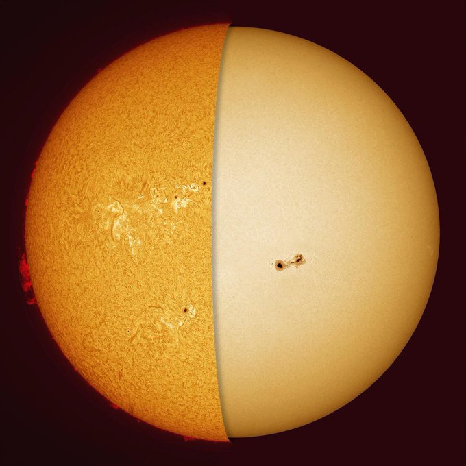 Amazing_Xcience's tweet image. The Sun in H alpha (left) and visible light (right) by Alan Friedman