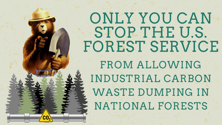 The U.S. Forest Service wants to allow carbon waste dumping in our forests.

Not on our watch! Join us and urge @forestservice to scrap this dangerous #CarbonDumpingScheme 👇👇
biodiv.us/3SFv3mP