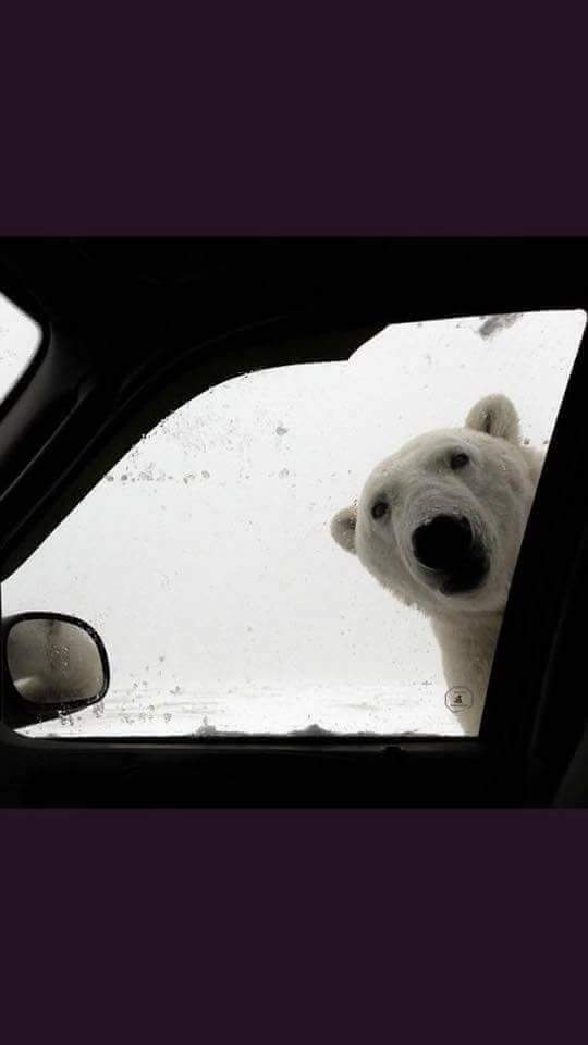 Sww_75's tweet photo. Cold out https://t.co/9LgK3Tpxrt