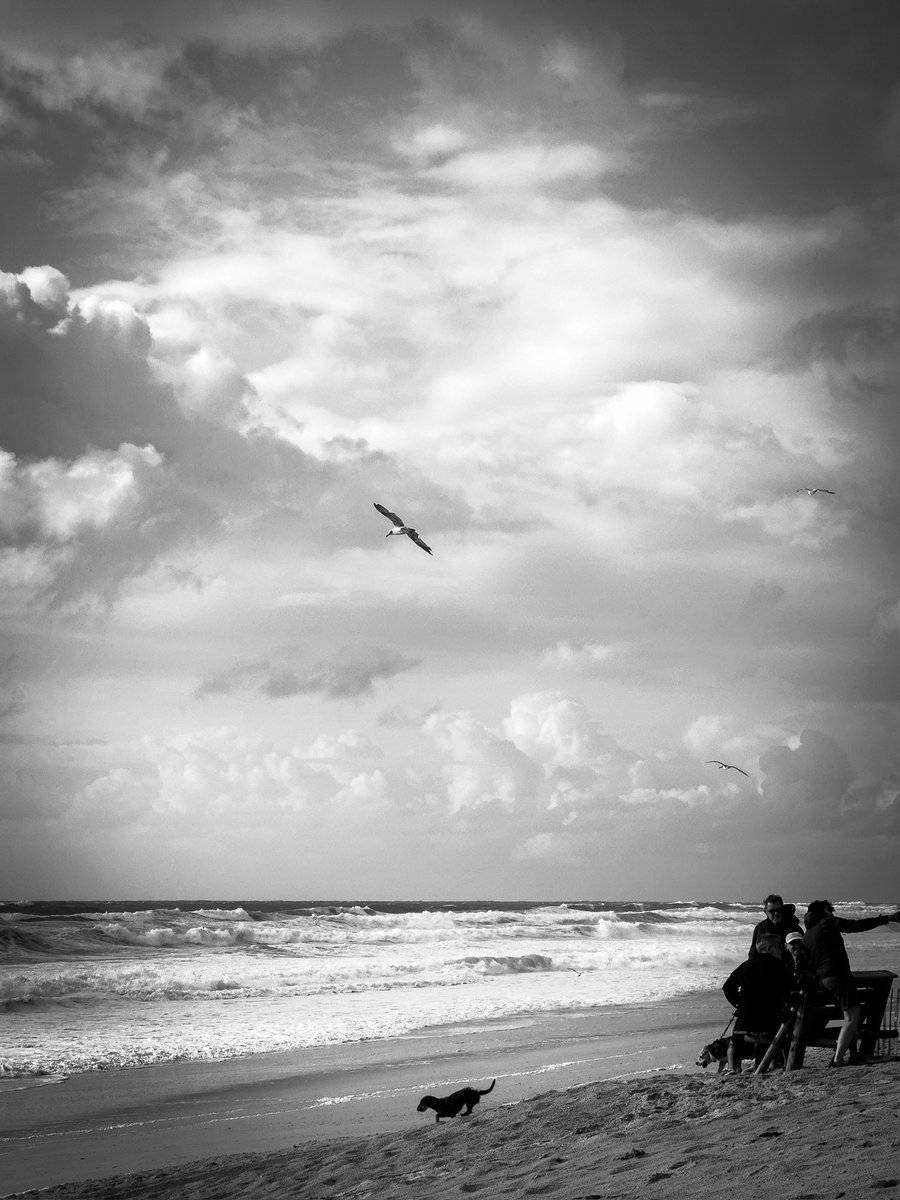 #bonjour
#photooftheday 
#vieuxboucau #life 🙂 #landes #nouvelleaquitaine #sudouest #france 
#sea #beach #sky #clouds #people #dog #seagull #streetphotography #shotbyme #shotoniphone #iphonephotography  #reponsesphoto #so_photo #dailypic  #sudouest_photographie #photography