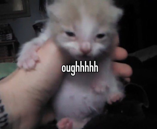 ‍ ‍ 𝐑𝐔𝐒𝐓𝐘 . (@vengefulmetals) on Twitter photo 