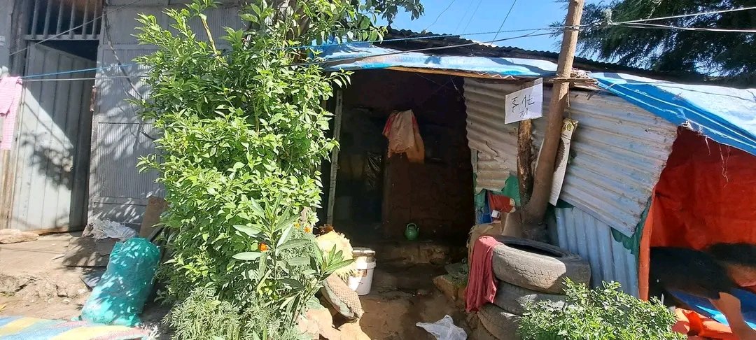 Addisketemaw4's tweet photo. በጋራ እንበለጽጋለን!!!

በአዲስ ከተማ ክፍለ ከተማ ወረዳ 4 አስተዳደር የበጋ በጎ ፍቃድ ተግባራት ከሆኑት መሀል የአቅመ ደካምች ቤት እድሳት መርሀ ግብር አስጀምሯል። https://t.co/MV8RL56Vbc