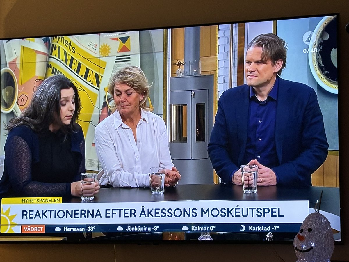 RamonaFransson's tweet photo. Det är ju högst märkligt att @Nyhetsmorgon med Nyhetspanelen är totalt omedvetna om att tusentals flaggviftande araber gick ut på svenska gator och torg och FIRADE att 1200 civila judar i Israel slaktats av Hamas. Satt du och sov @evahamiltonsvt eller vill du inte se? Varför stängde @SAPOsverige en ”muslimsk” skola häromdagen? Jo, för att barnen riskerade att radikaliseras. Ni på @svt är ynkliga i att försvara islamism!