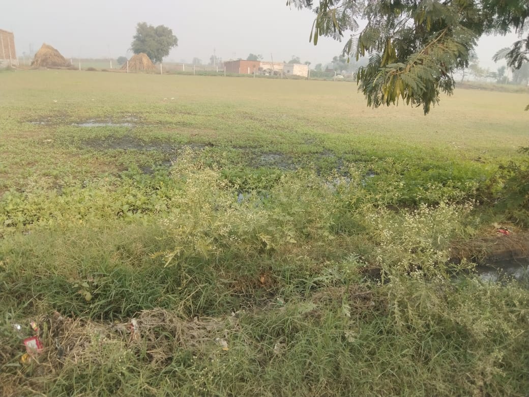 RYGPM100's tweet photo. @cmohry श्री मान पूरे गांव का  खराब पानी नाले टूटने के कारण मेरे खेत मै भर रहा है जिस के कारण मै अपनी फसल की बुआई भी नही  कर पा रहा हु ये शिकायत मैने पहले भी ग्राम सचिव संजीव पटौदी को दी लेकिन बोला जा रहा बजट पास नही हो रहा हैं कृपा सर समाधान करे 🙏🙏 @DC_Gurugram @mlkhattar https://t.co/iI3YoJRkBG
