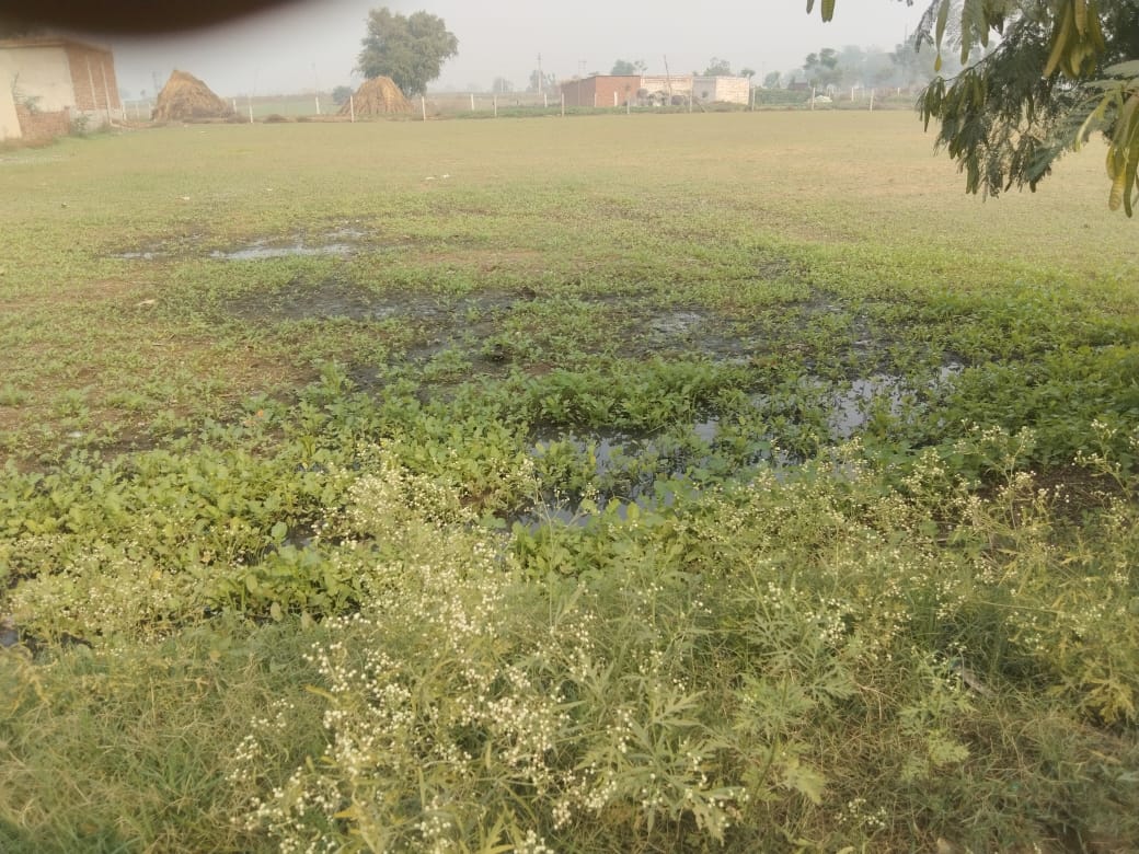 RYGPM100's tweet photo. @cmohry श्री मान पूरे गांव का  खराब पानी नाले टूटने के कारण मेरे खेत मै भर रहा है जिस के कारण मै अपनी फसल की बुआई भी नही  कर पा रहा हु ये शिकायत मैने पहले भी ग्राम सचिव संजीव पटौदी को दी लेकिन बोला जा रहा बजट पास नही हो रहा हैं कृपा सर समाधान करे 🙏🙏 @DC_Gurugram @mlkhattar https://t.co/iI3YoJRkBG