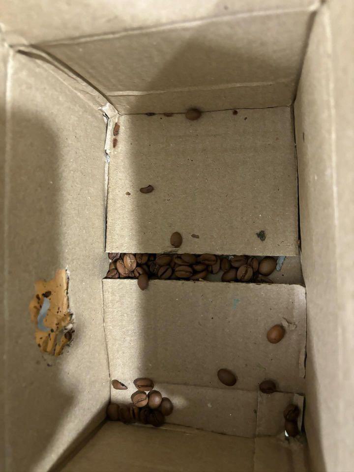 CallMeLord's tweet photo. @PostNimbus Worst support worst company !! No one should sign up for nimbus !! Rats are running around loose eating customer couriers !! https://t.co/64nc5COAlF