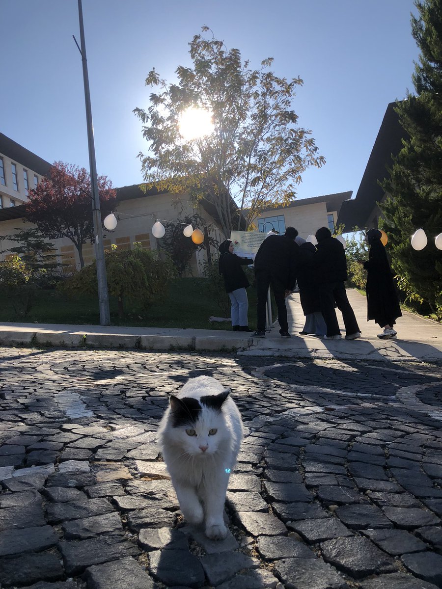 Biz güne başladık 🥳 Bugün kampüsün her yerindeyiz. Daha erişilebilir bir dünya için her günümüz farkındalıkla geçsin 🍀
Mesela engelliler için ayrılmış alanlara araçlarınızı park etmeyerek başlayabilirsiniz ☺️