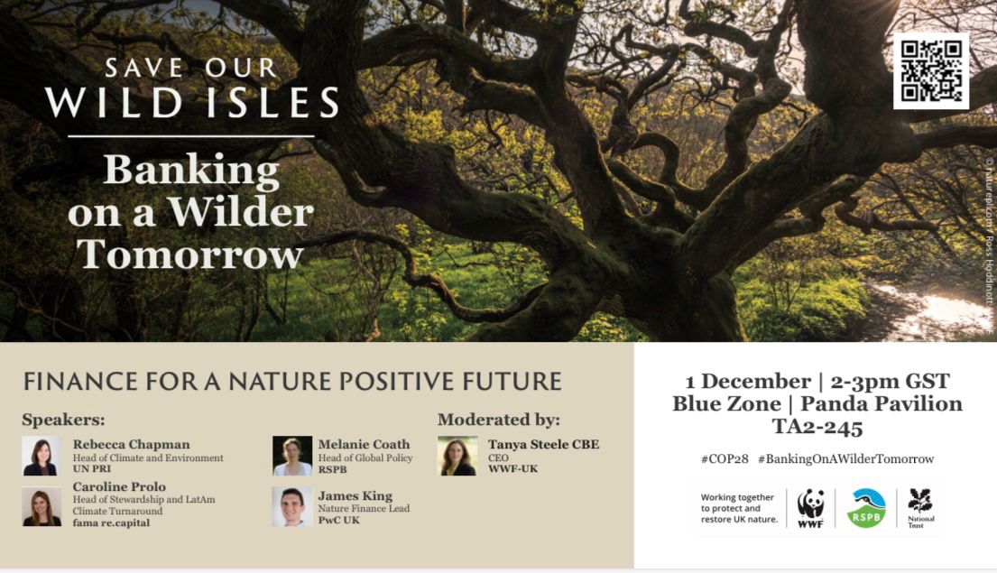 Excited to be representing <a href="/Natures_Voice/">RSPB</a> on this panel today and highlighting the importance of  investing in nature as well as nature's role in the climate talks here at #COP28