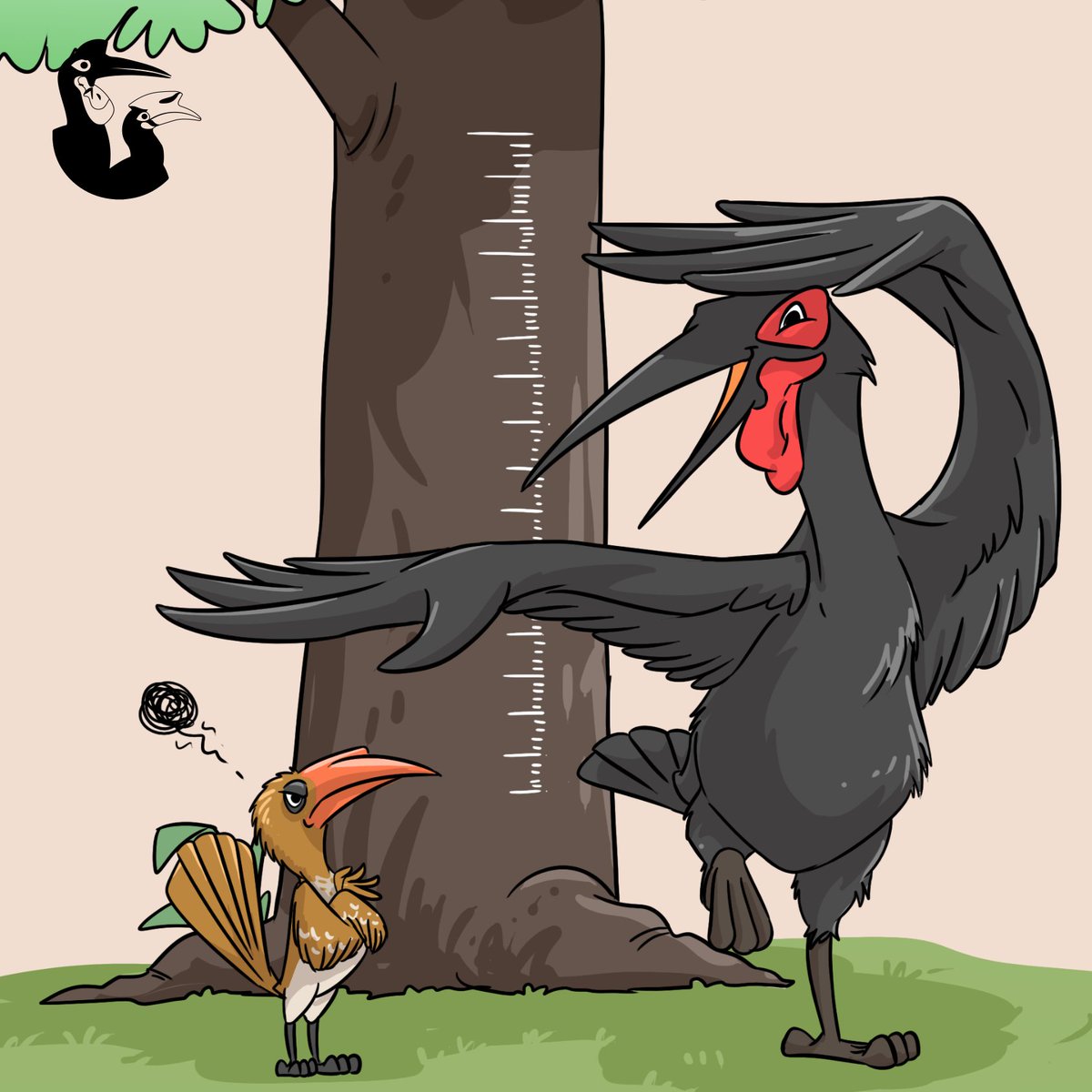 Did you know? 🤔 The Dwarf hornbill (Lophoceros camurus) is actually the smallest type of hornbill. On the other hand, the Southern African Ground Hornbill (Bucorvus leadbeateri) is the largest species of hornbill out there. #IUCNHSG #HornbillFacts #Birds #Hornbill