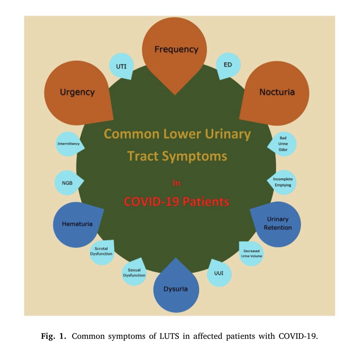 S Hajebrahimi (@hajebrahimis) on Twitter photo “Covid19 and lower urinary tract symptoms “is there any correlation???It is our new published article!
#covid19 #incontinence #luts <a href="/salehipourmehr/">hanieh salehipourmehr</a> <a href="/AshkanShafigh/">Ashkan Shafigh</a> <a href="/Dr_SRah/">Dr. M.S. Rahnama'i</a>
authors.elsevier.com/sd/article/S27… “Covid19 and lower urinary tract symptoms “is there any correlation???It is our new published article!
#covid19 #incontinence #luts <a href="/salehipourmehr/">hanieh salehipourmehr</a> <a href="/AshkanShafigh/">Ashkan Shafigh</a> <a href="/Dr_SRah/">Dr. M.S. Rahnama'i</a>
authors.elsevier.com/sd/article/S27…
