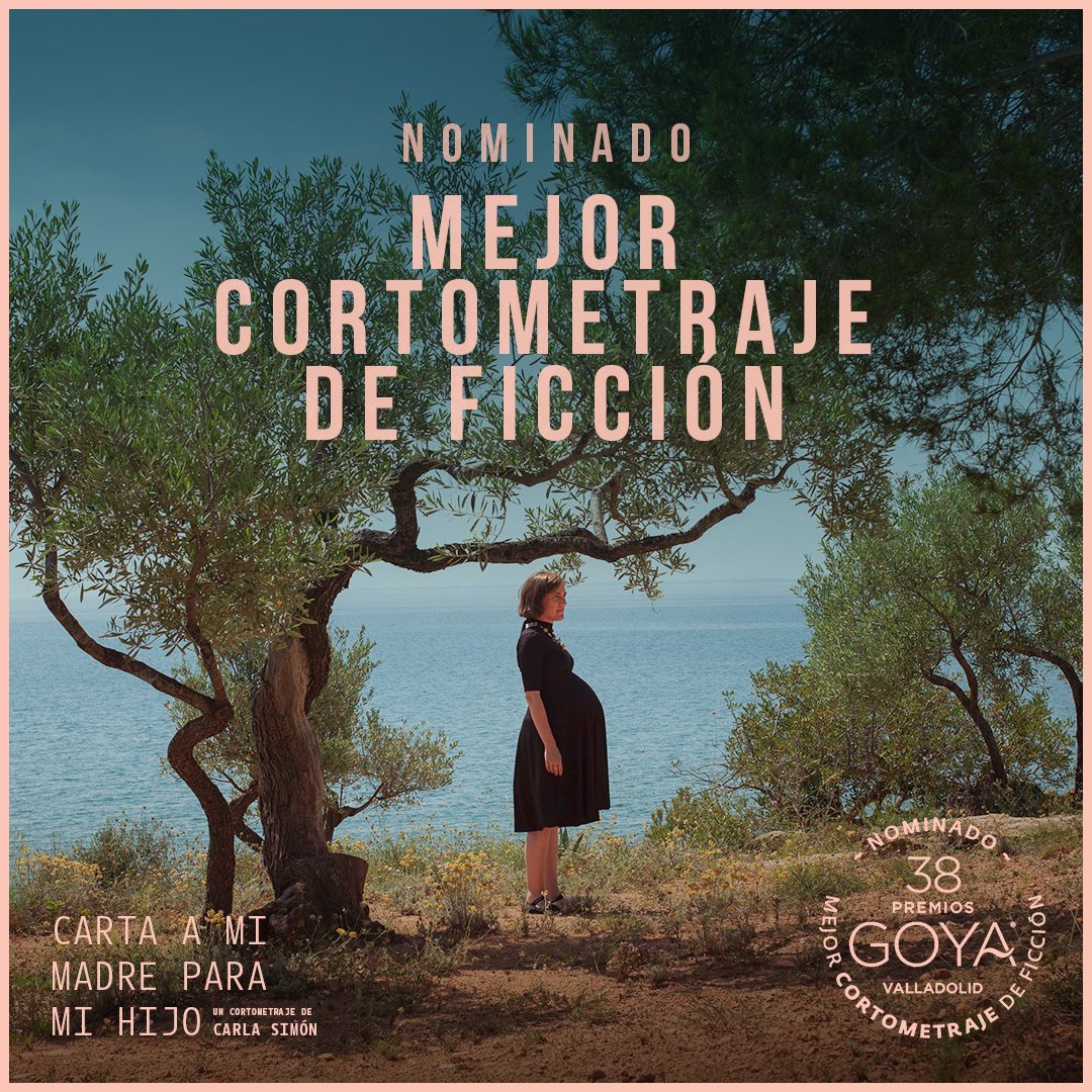 jordigaseni's tweet photo. 📽 L'agost del 2022 es rodava a l'Ametlla de Mar.
 
L'illot de l'Àlia, la Xelin i el nostre cementiri, protagonistes del curtmetratge de la Carla Simón, recentment nominat als #Goya2024. 
Molta sort i enhorabona!!

🥳 La Cala estarà als @PremiosGoya https://t.co/YtqOESQVFI