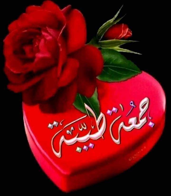 <a href="/MnartWdad/">وداد منارة الحياة</a> <a href="/0Flora_/">꧁༺₣ŁØŘለ༻꧂</a> <a href="/linaassil_assil/">Linaa Alassill2</a> <a href="/Gigi46830095/">ا. i1iitالخاص ممنوعGiGi</a> <a href="/Meire49050201/">Meyre</a> <a href="/maha8321553/">🌸maha🌸</a> <a href="/zahrat_lotas/">❤️S.zahra❤️</a> @Ozlerntr <a href="/Rcj_63/">👉 नटखट रचना जैन 🇮🇳 🎯51K🐦😜👇🚩🚩💯</a> <a href="/AaravDevkota/">Aarav</a> <a href="/SP14672/">Shahid Hammad</a> @Ghulam101010 <a href="/Susan12214/">Susan1221</a> <a href="/AnsarR_99_raja/">🅰nsar Raj🅰</a> <a href="/awaisaraza/">Awais Saira</a> @EndJapanNeil <a href="/FatimaSchmitt2/">Fatima Schmitt</a> <a href="/faminasferreira/">Maria De Fatima</a> <a href="/szentandrassym/">🌞 Sophie S 🌴</a> تحياتي واطيب امنياتي القلبيه لكي بالسعادة الدائمه يا احلي واجمل وداد بارك الله فيكي وعمرك اسعدك يارب 😍