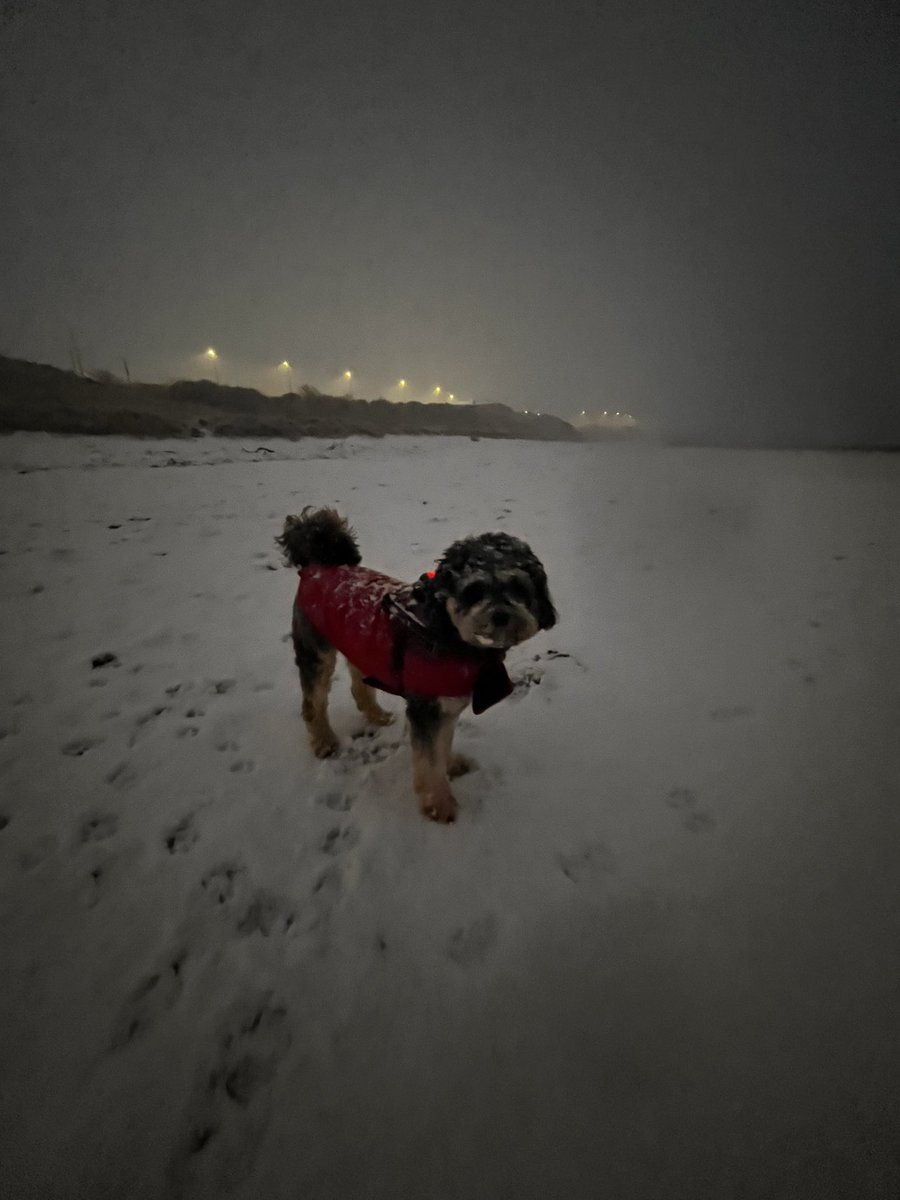 Michelle Beat tweet media