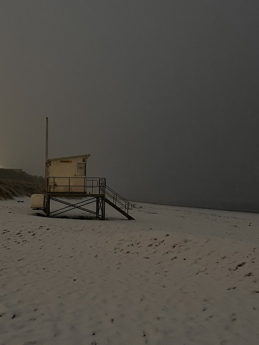 Michelle Beat tweet media