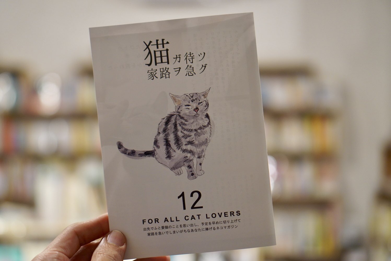 Neko Standard (@Neko_Standard) / X