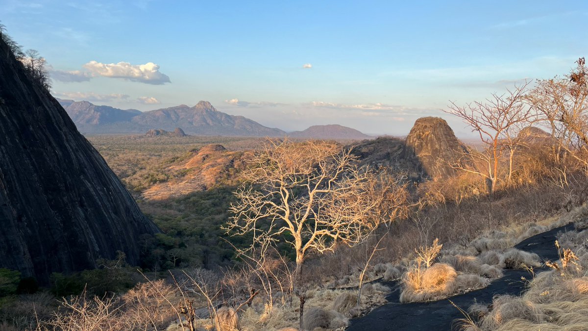 IucnE's tweet photo. @IucnE & @WCSMozambique partner in €200K project for Niassa Special Reserve in Mozambique. Financed through the SADC TFCA #FinancingFacility & funded by @BMZ_Bund through @KfW_FZ_int, it aims to strengthen law enforcement & reduce human-wildlife conflict➡️https://t.co/TIklWvxcH2 https://t.co/08CDWwzuB6