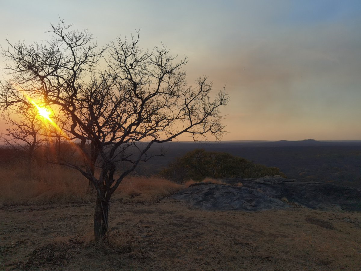 IucnE's tweet photo. @IucnE & @WCSMozambique partner in €200K project for Niassa Special Reserve in Mozambique. Financed through the SADC TFCA #FinancingFacility & funded by @BMZ_Bund through @KfW_FZ_int, it aims to strengthen law enforcement & reduce human-wildlife conflict➡️https://t.co/TIklWvxcH2 https://t.co/08CDWwzuB6