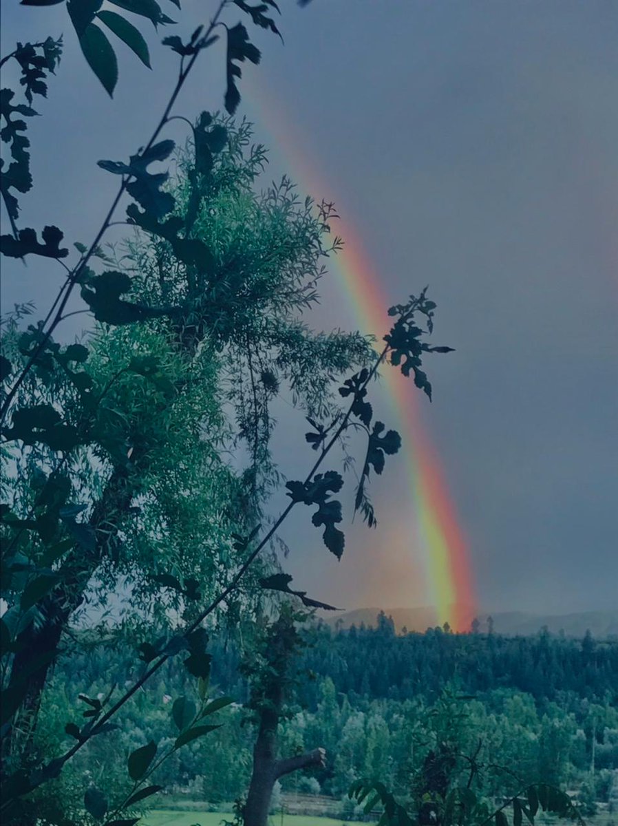 'Rainbows remind us that after the storm, there's beauty. 🌦️🌈 #HopefulHeart'
#FridayVibes
#Kashmir
#NaturePhotography