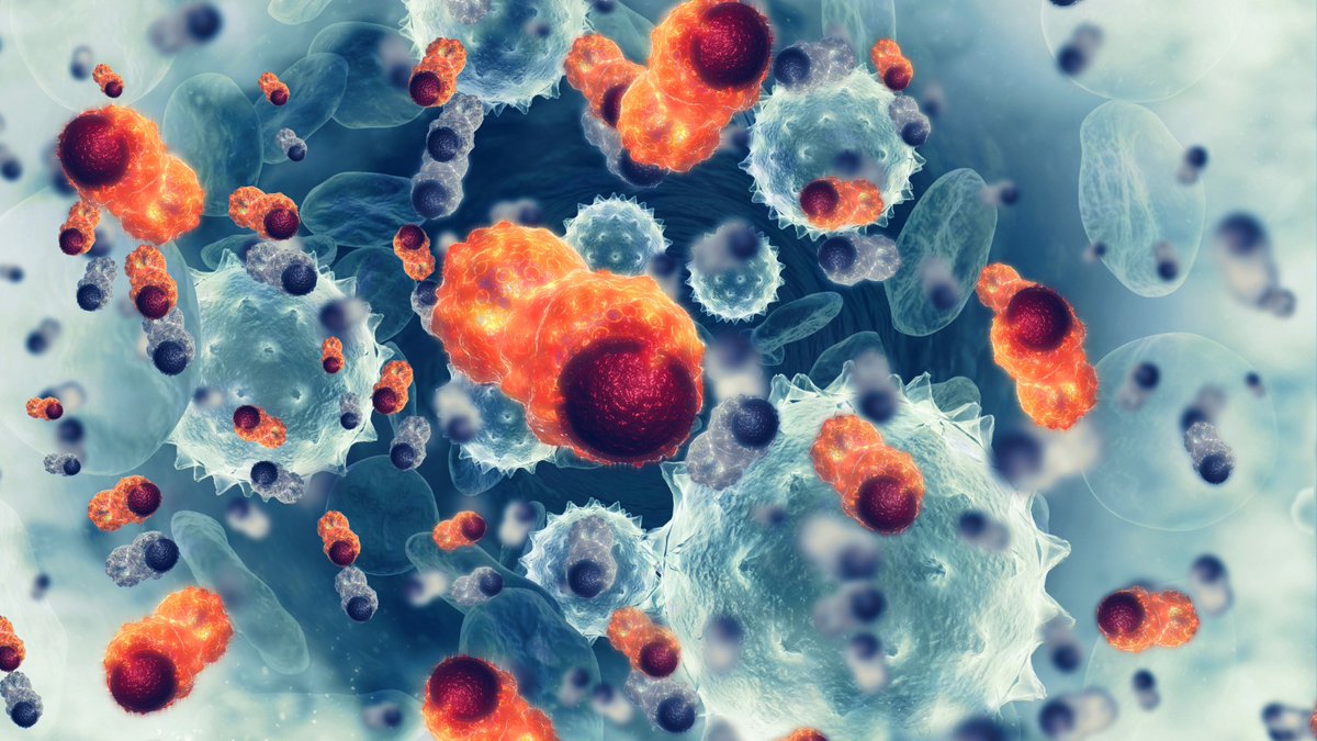 Vall d’Hebron Institute of Oncology (VHIO) tweet media