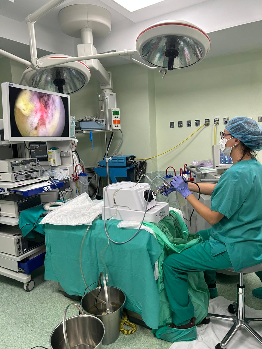 ROC_Urologia's tweet photo. Incredible training day on holmium laser prostate enucleation (#HOLEP),led by Drs. Diego Torres and Alfredo R.Antolín. Excited to train professionals and share knowledge to advance BPH treatment, we thank @Izasa Medical,Werfen Company and #HMFoundation for their valuable support. https://t.co/jtdnj26URn