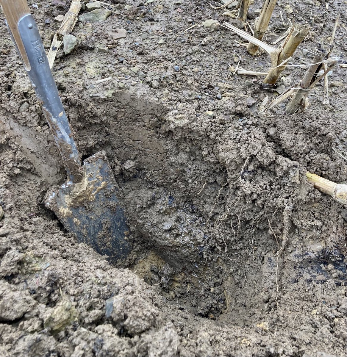 Richard Smith tweet media