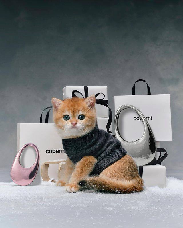 lime_studio's tweet photo. How to make a 100% successful advertising campaign? Just add kittens.

Coperni, that's a forbidden move!

#SuccessfulAdvertising #Kittens #CreativeMarketing https://t.co/YV81pP09pZ