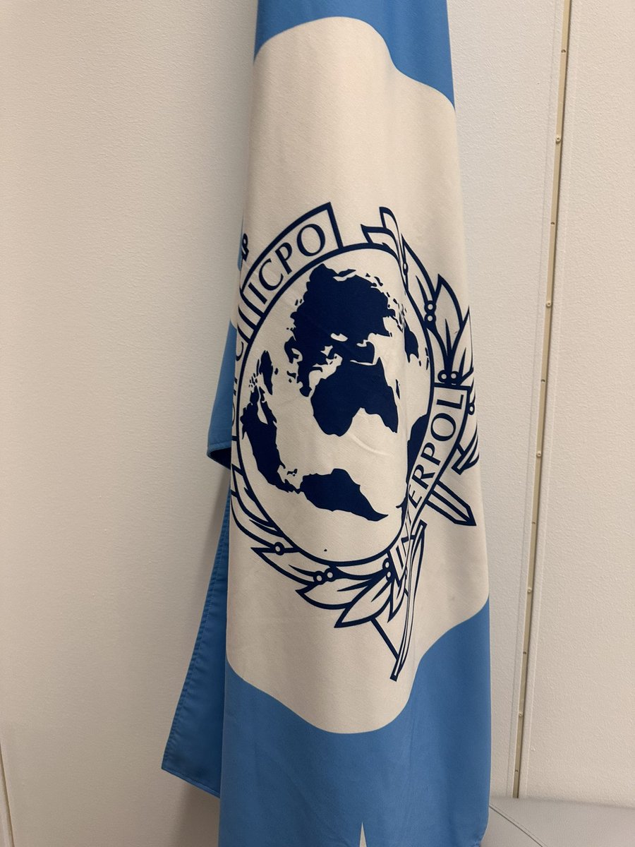 SKavanaghLyon's tweet image. Huge thanks to all who attended UK reception in support of my candidacy for INTERPOL SG. 
My competence, experience and  commitment to support all members to tackle crime drive my ambition to be the next SG. 
We must work together, to build a safer world for all.#INTERPOL100