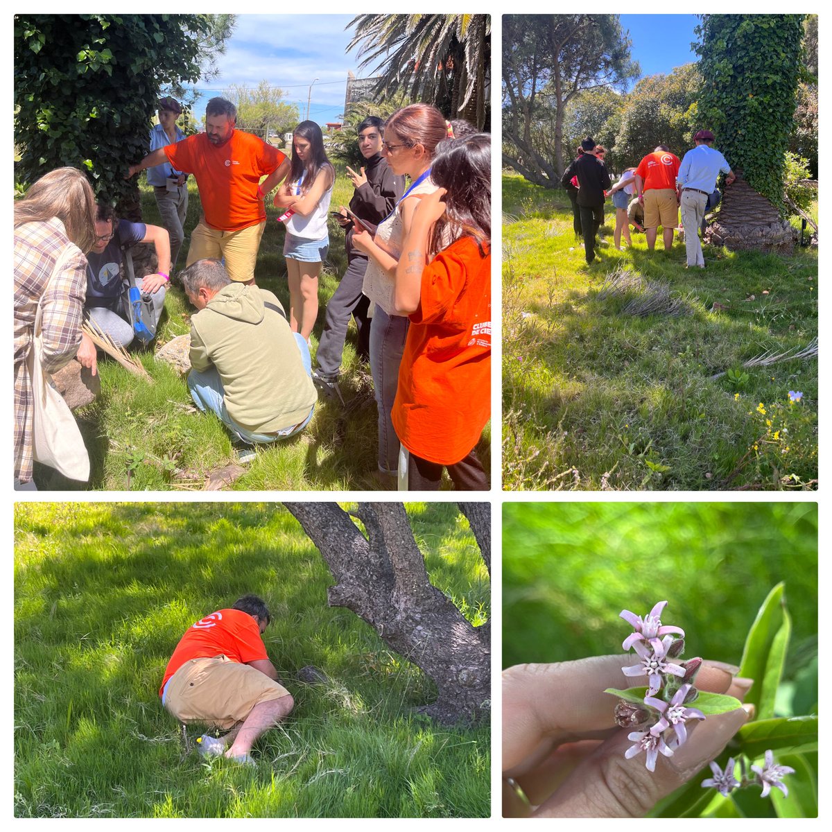 Diversidad de talleres se ofrecieron durante la Feria Nacional de Clubes de Ciencia. Los participantes transitaron por una diversidad de temáticas. Intercambio, reflexión, importancia de las preguntas, manos a la masa y motivación, permitió alcanzar verdaderos aprendizajes.