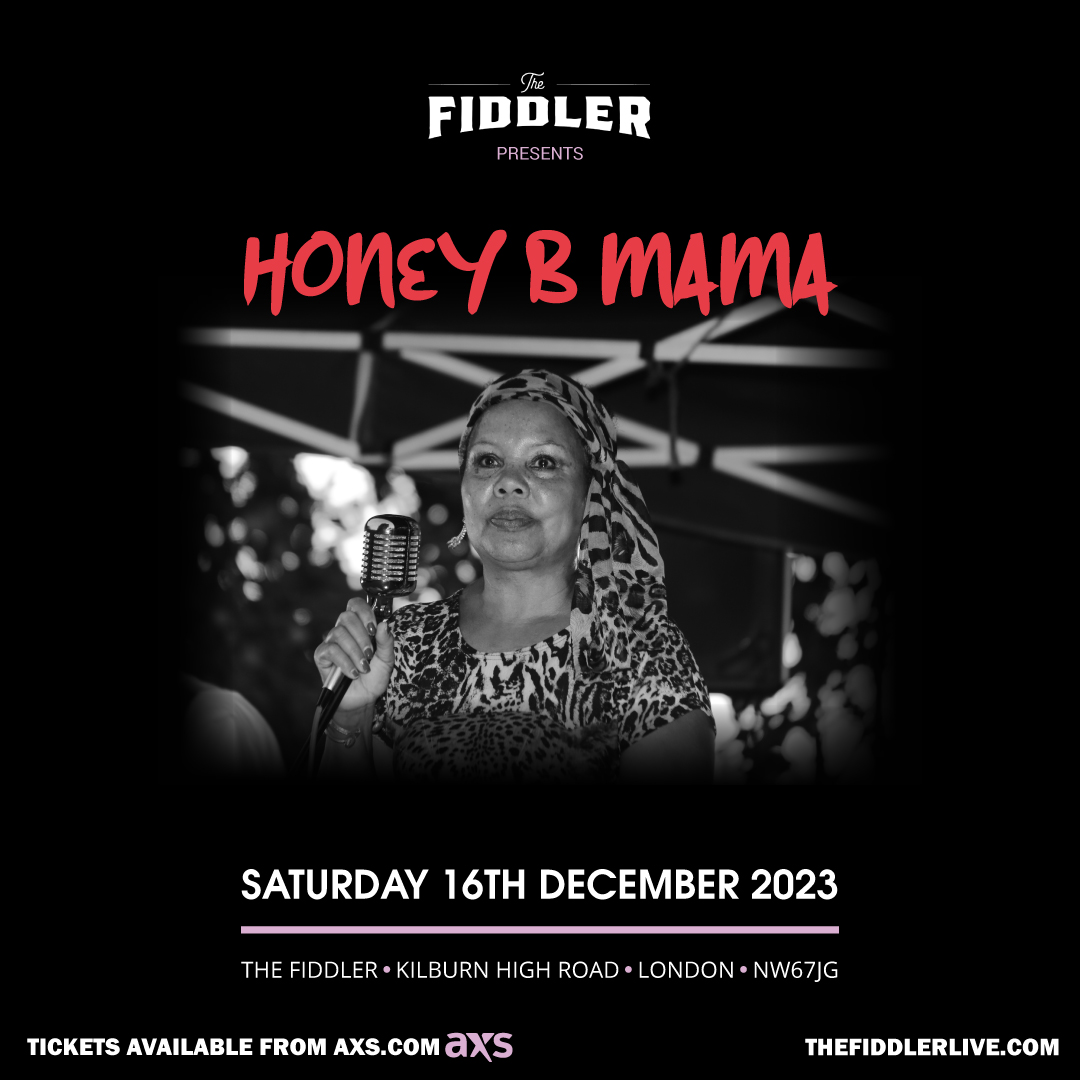 Venturing to Kilburn to <a href="/TheFiddlerlive/">The Fiddler</a>  16th Dec. If you enjoy  #Chicago Blues and Boogie, come and join us