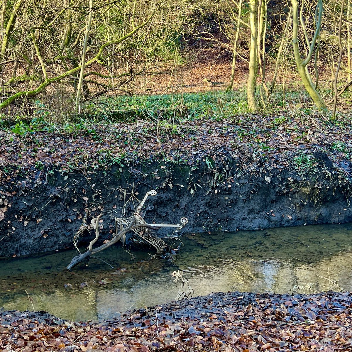 I call this work ‘Shopping Trolley’s Final Resting Place in the Beck in Prestwich Clough’