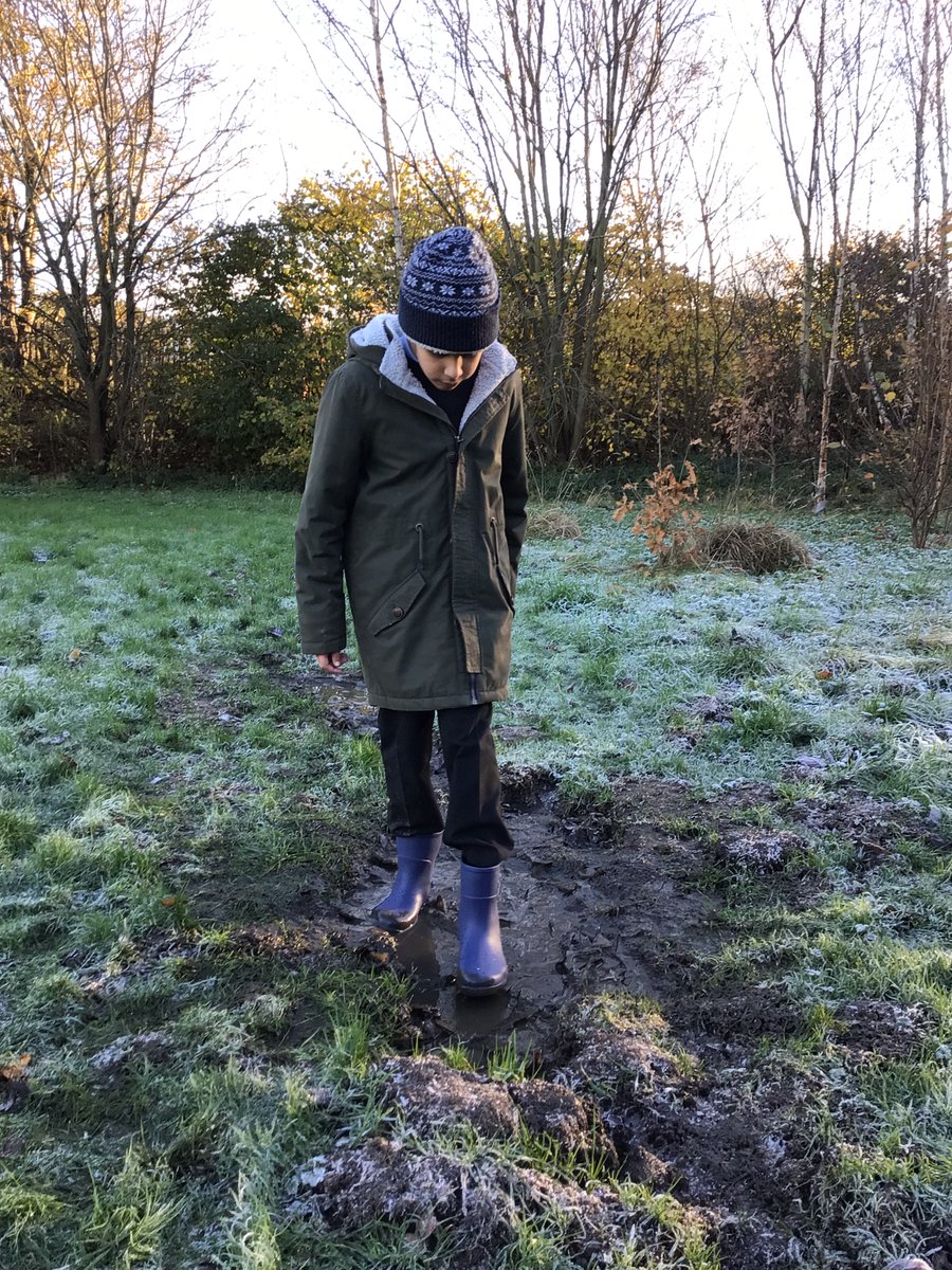 The Hive @Whiteways Primary School tweet media