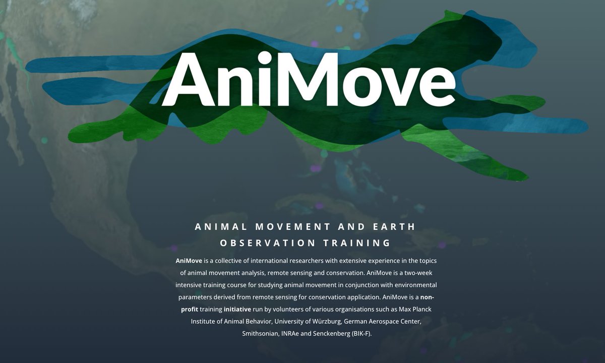 Don't forget to sign up for #animove2024 in Germany! Places are limited. You can apply now via our website: animove.org/next-animove-2…