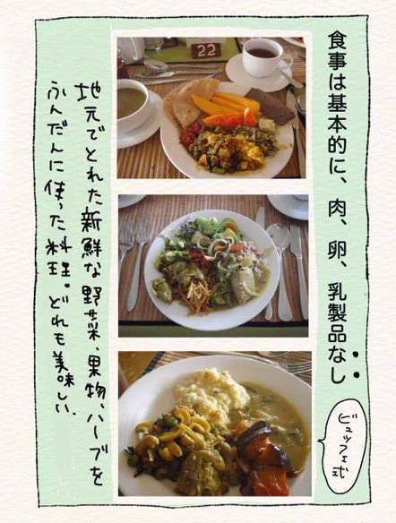 世界最古の予防医学を受けにスリランカまで行った話 4/7 「ストイックな食事と吠えるドイツ人」