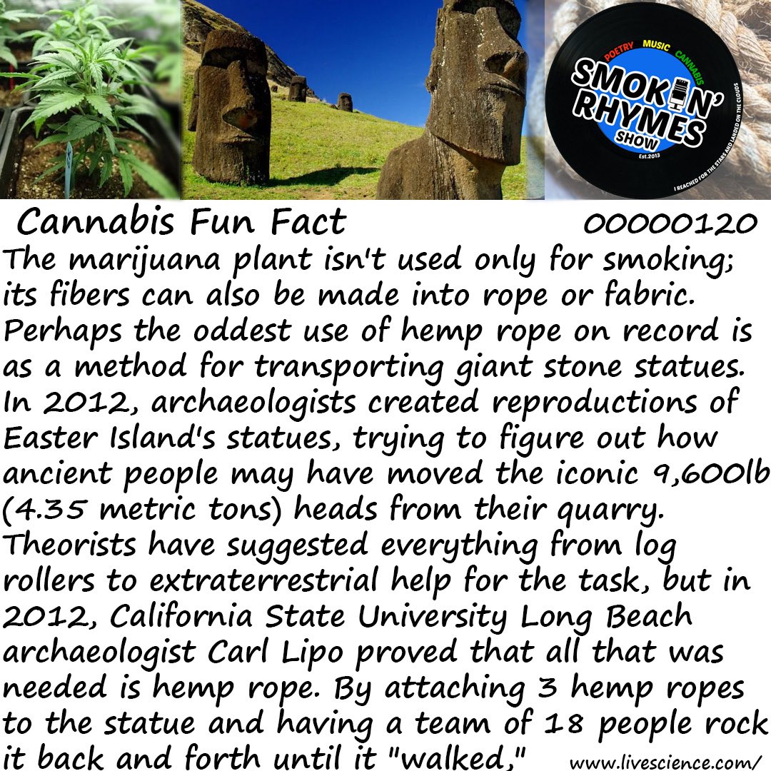 Cannabis isn't only used for smoking.
#funfact #funfactfriday #cannabisfunfact #cannabisart #cannabiscommunity #cannabiseducation #cannabis #cannabismedicine #cannabisculture #cannabissociety #cannabislifestyle #cannabislover #cannabisindustry #cannabisphotography #global #aimhy