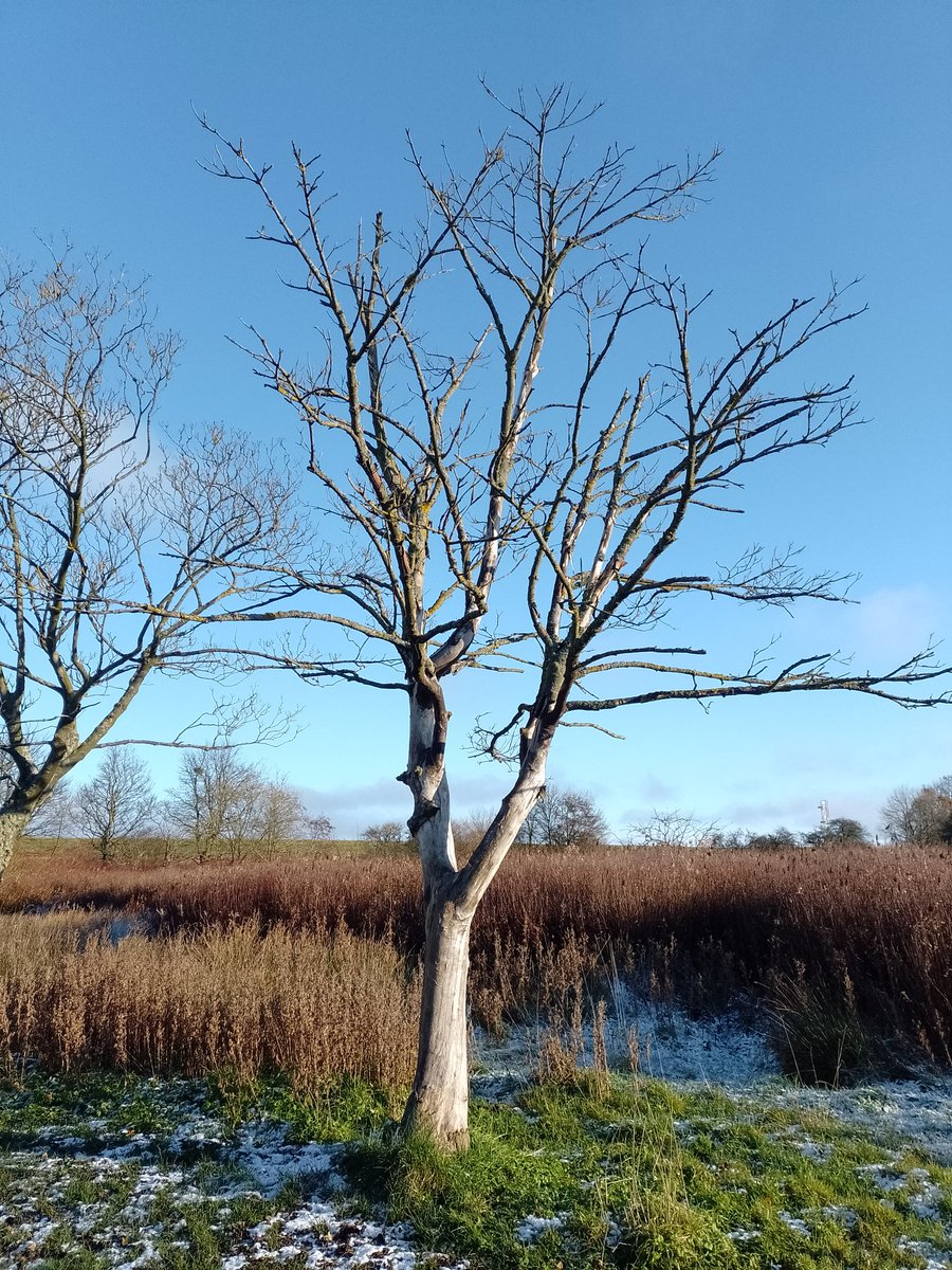 PaulJacksonp9's tweet photo. @Julia11692691 Yeadon tarn for me https://t.co/VBICpzIL0D