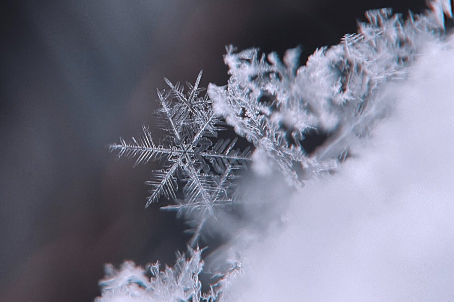 s_msonia's tweet photo. Un copo de nieve es una mariposa de invierno ❄️
#FelizViernesATodos
#BienvenidoDiciembre
#WinterTale https://t.co/fNHEPBMcLP