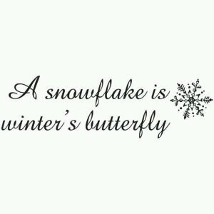 s_msonia's tweet photo. Un copo de nieve es una mariposa de invierno ❄️
#FelizViernesATodos
#BienvenidoDiciembre
#WinterTale https://t.co/fNHEPBMcLP