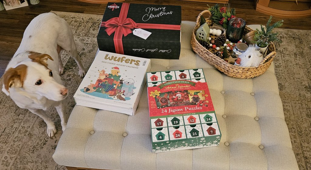 CanadianPenny1's tweet image. It&apos;s time for #AdventCalendars! 

Dad&apos;s 🥃🍾
Mine 🍪😋
Mom&apos;s 🧩🙄

Mom says I have to wait for lunch to open it 😡