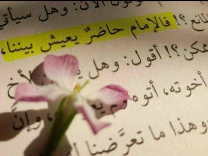 آيات tweet media